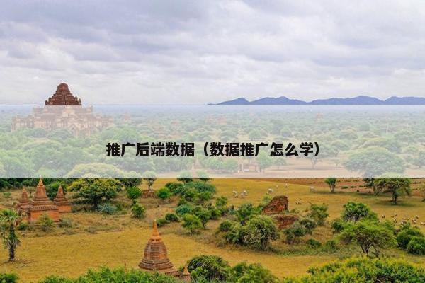 推广后端数据（数据推广怎么学）