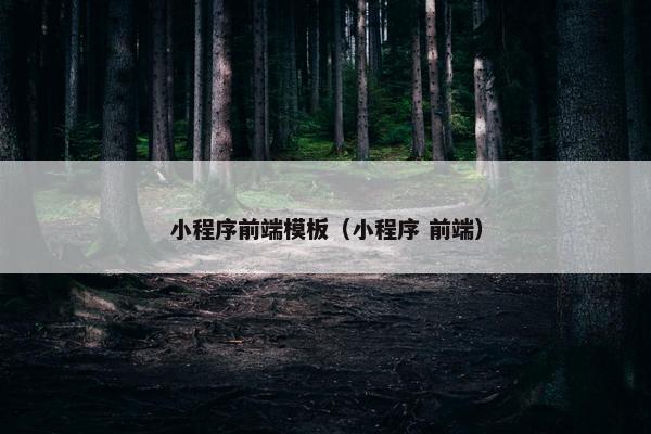 小程序前端模板（小程序 前端）