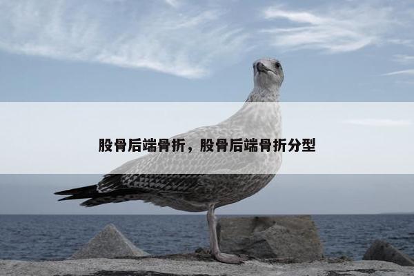 股骨后端骨折，股骨后端骨折分型