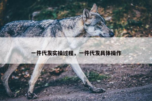 一件代发实操过程，一件代发具体操作