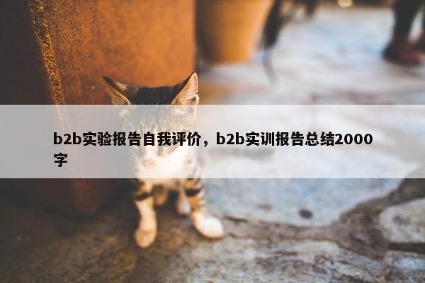 b2b实验报告自我评价，b2b实训报告总结2000字