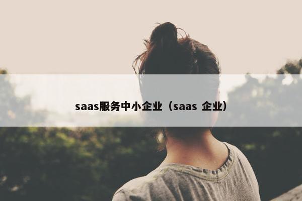 saas服务中小企业（saas 企业）
