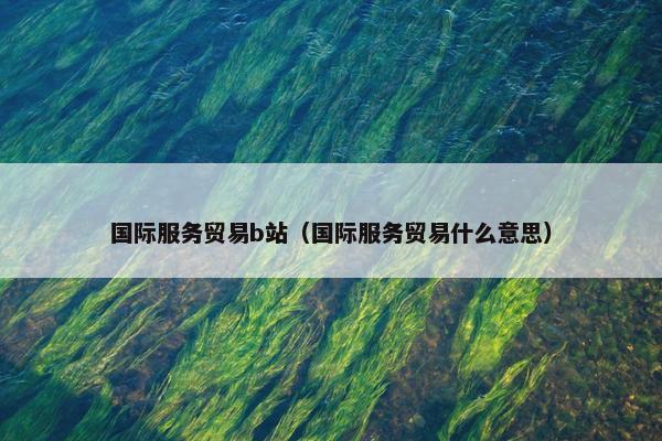国际服务贸易b站（国际服务贸易什么意思）
