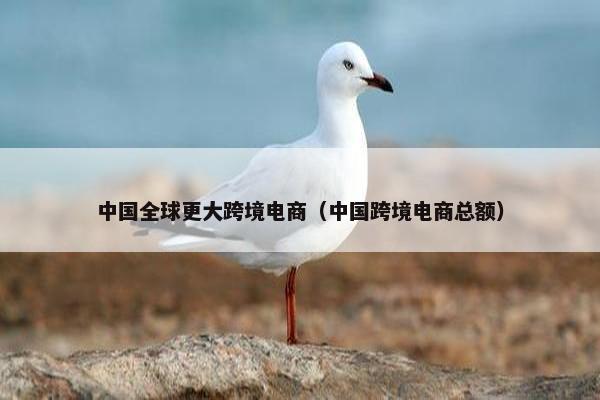 中国全球更大跨境电商（中国跨境电商总额）