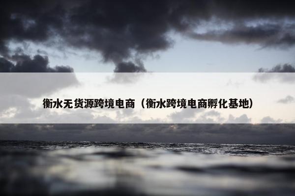 衡水无货源跨境电商（衡水跨境电商孵化基地）