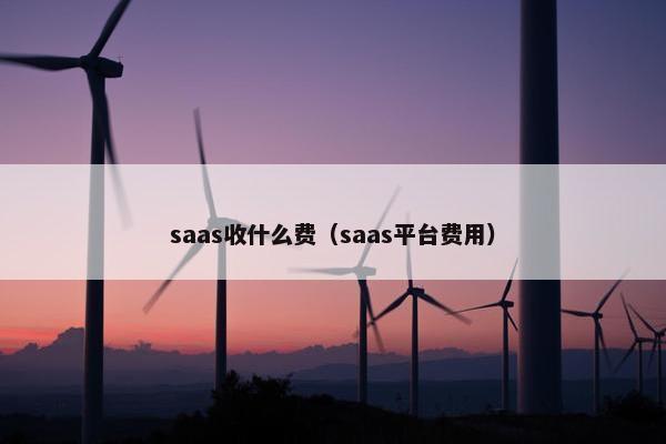 saas收什么费（saas平台费用）
