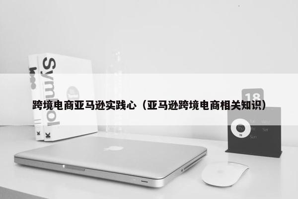 跨境电商亚马逊实践心（亚马逊跨境电商相关知识）