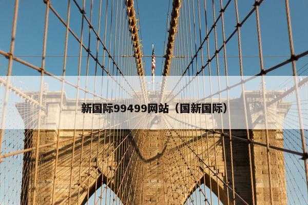 新国际99499网站（国新国际）