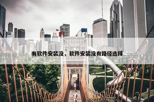 有软件安装没，软件安装没有路径选择