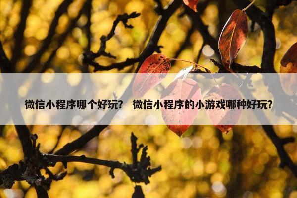 微信小程序哪个好玩？ 微信小程序的小游戏哪种好玩？