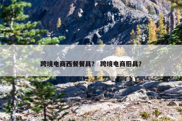 跨境电商西餐餐具？ 跨境电商厨具？