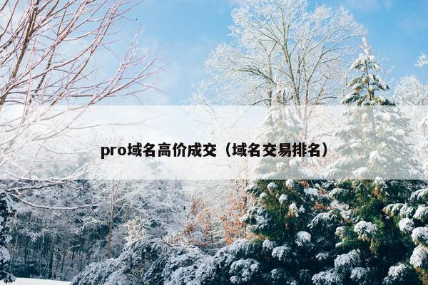 pro域名高价成交（域名交易排名）
