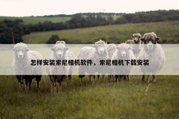怎样安装索尼相机软件，索尼相机下载安装