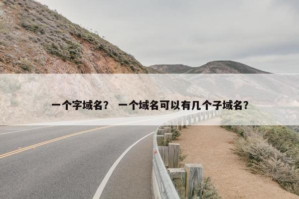 一个字域名？ 一个域名可以有几个子域名？