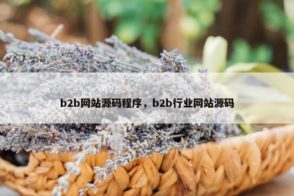 b2b网站源码程序，b2b行业网站源码