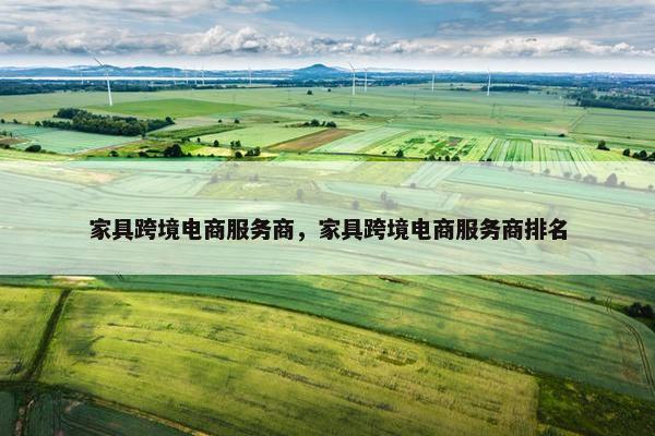 家具跨境电商服务商，家具跨境电商服务商排名