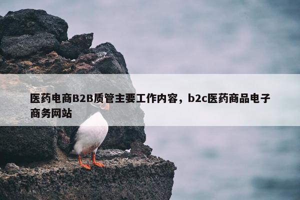 医药电商B2B质管主要工作内容，b2c医药商品电子商务网站