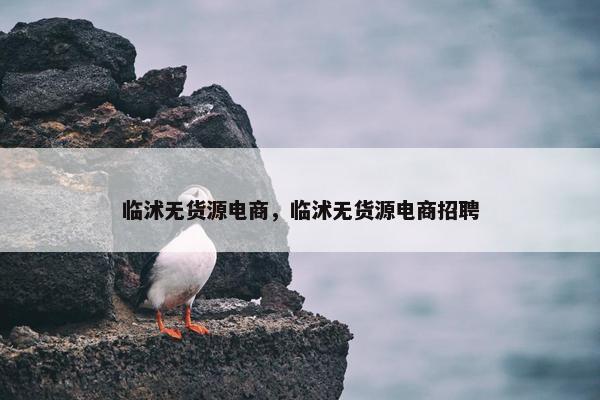 临沭无货源电商，临沭无货源电商招聘