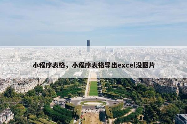 小程序表格，小程序表格导出excel没图片