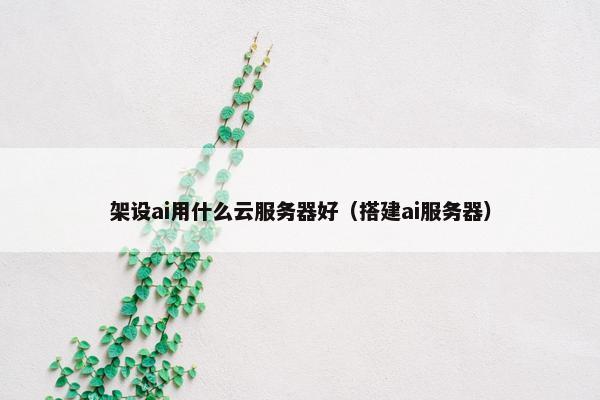 架设ai用什么云服务器好（搭建ai服务器）