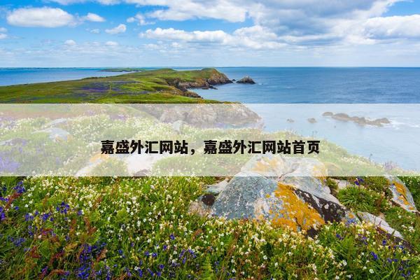 嘉盛外汇网站，嘉盛外汇网站首页