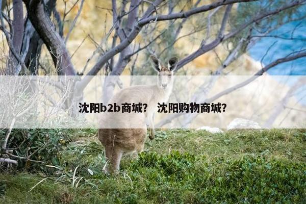 沈阳b2b商城？ 沈阳购物商城？