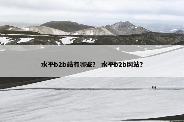 水平b2b站有哪些？ 水平b2b网站？