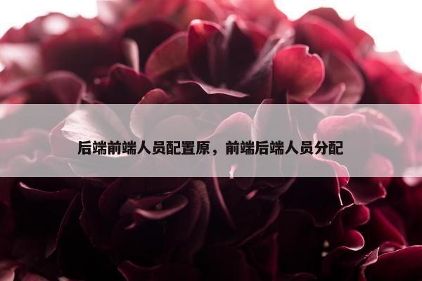 后端前端人员配置原，前端后端人员分配