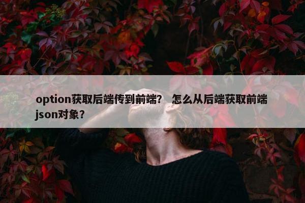 option获取后端传到前端？ 怎么从后端获取前端json对象？