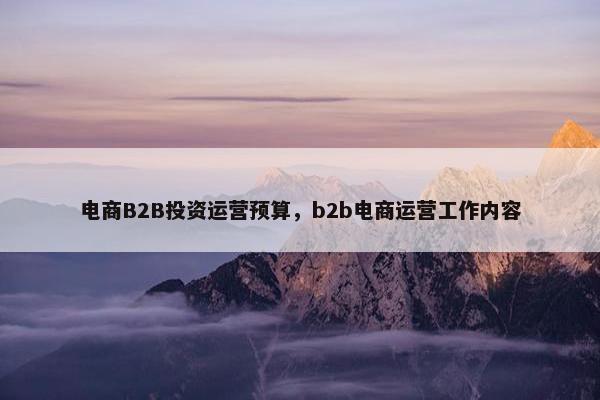 电商B2B投资运营预算，b2b电商运营工作内容