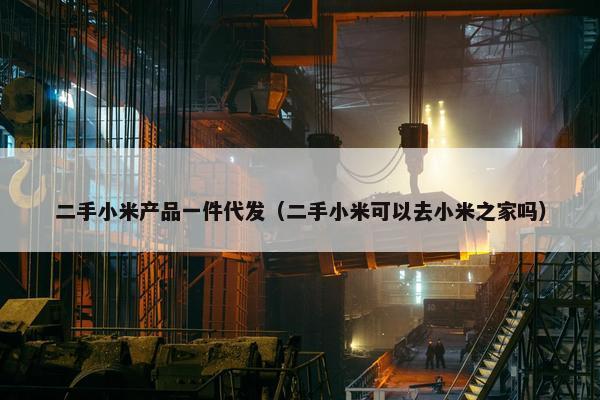 二手小米产品一件代发（二手小米可以去小米之家吗）