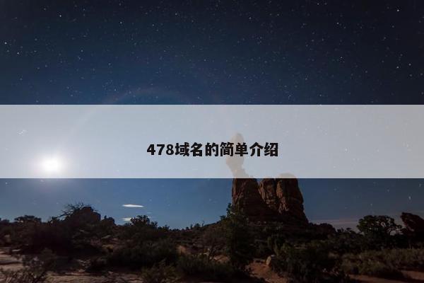 478域名的简单介绍