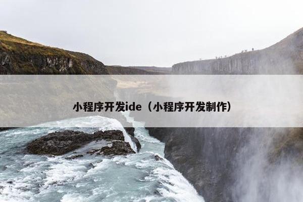 小程序开发ide（小程序开发制作）