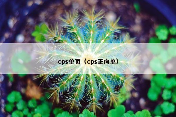cps单页（cps正向单）