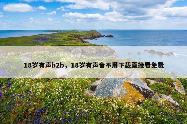 18岁有声b2b，18岁有声音不用下载直接看免费