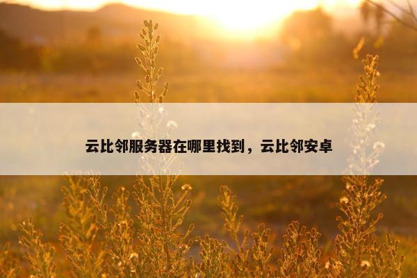 云比邻服务器在哪里找到，云比邻安卓