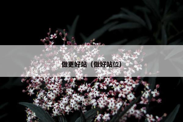 做更好站（做好站位）