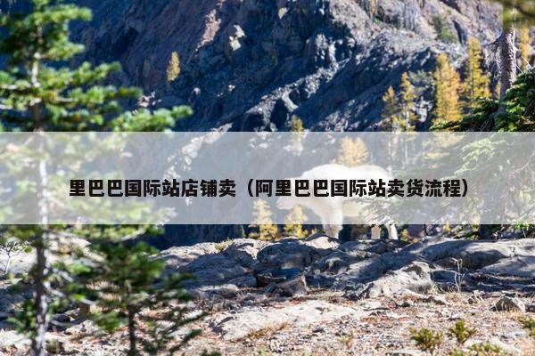 里巴巴国际站店铺卖（阿里巴巴国际站卖货流程）