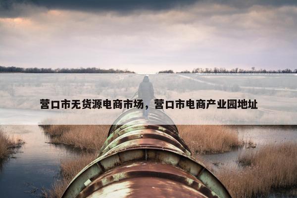营口市无货源电商市场，营口市电商产业园地址