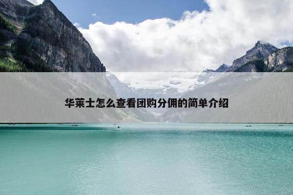 华莱士怎么查看团购分佣的简单介绍