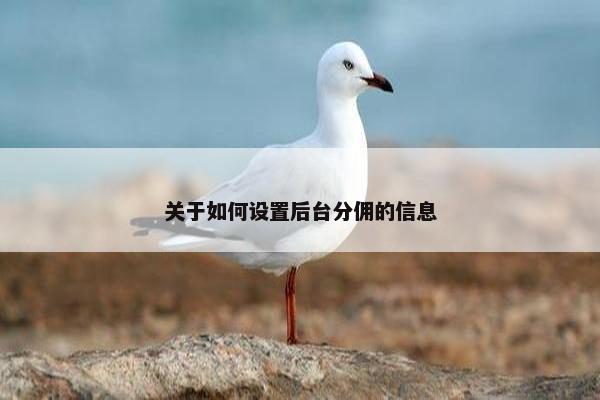 关于如何设置后台分佣的信息