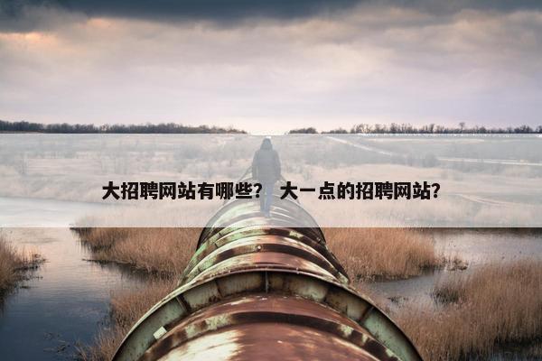 大招聘网站有哪些？ 大一点的招聘网站？