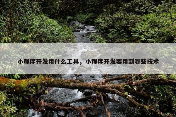 小程序开发用什么工具，小程序开发要用到哪些技术