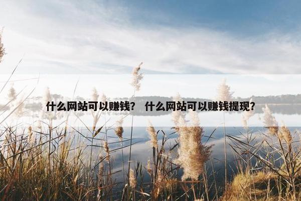 什么网站可以赚钱？ 什么网站可以赚钱提现？