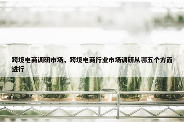 跨境电商调研市场，跨境电商行业市场调研从哪五个方面进行