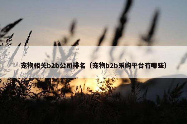 宠物相关b2b公司排名（宠物b2b采购平台有哪些）