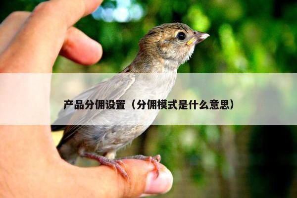 产品分佣设置（分佣模式是什么意思）