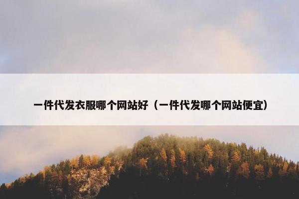 一件代发衣服哪个网站好（一件代发哪个网站便宜）