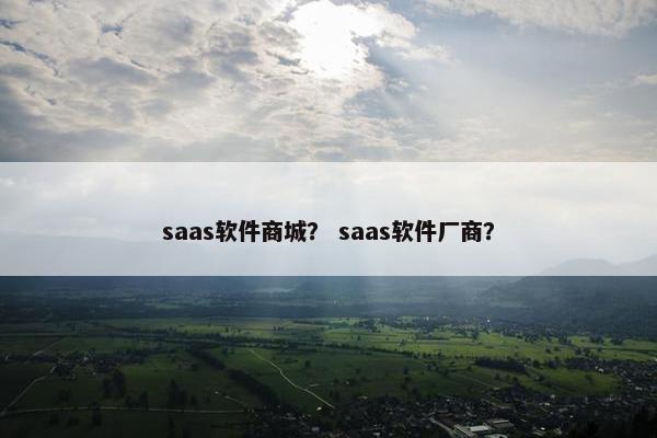 saas软件商城？ saas软件厂商？
