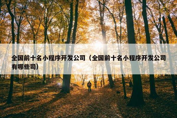 全国前十名小程序开发公司（全国前十名小程序开发公司有哪些司）